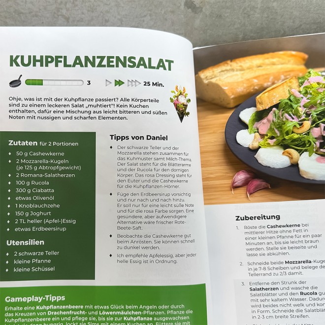 Il libro di cucina non ufficiale dei Sims di Daniel SimFans