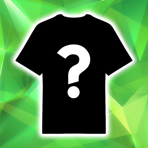 SimFans.de SURPRISE Shirt