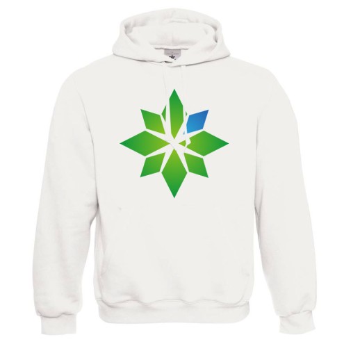 SimFans.de Hoodie