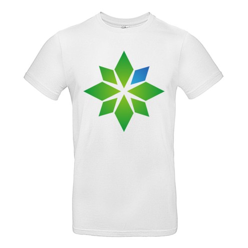 SimFans.de T-Shirt
