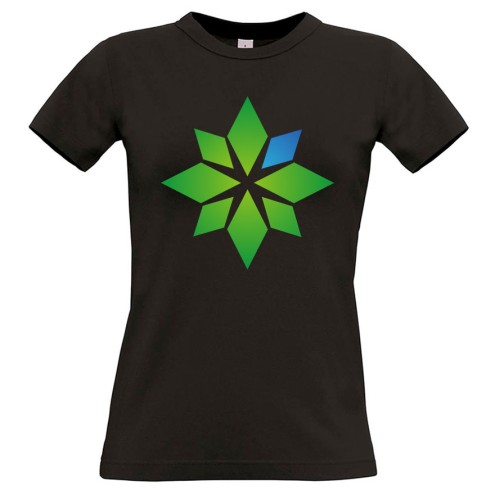 SimFans.de GIRLIE T-Shirt